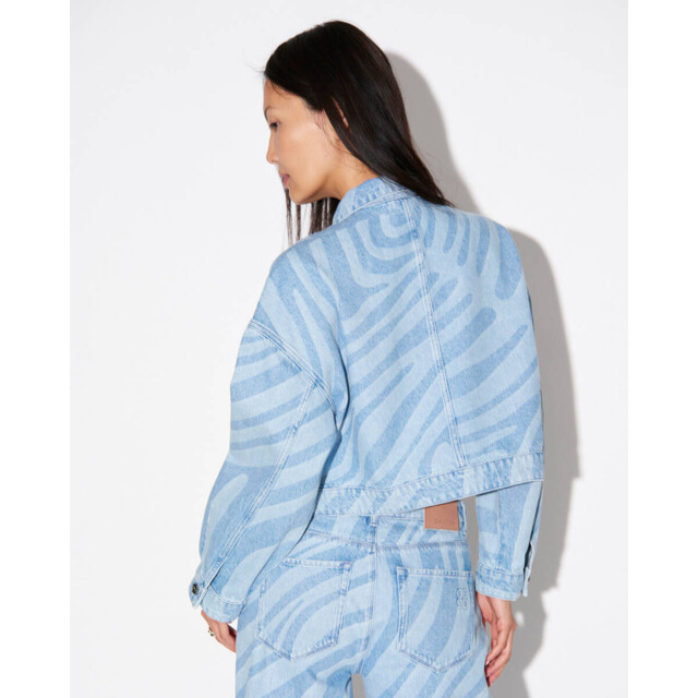 Dante 6 Jasje 254803 spring Dante 6 Jasje 254803 Spring large