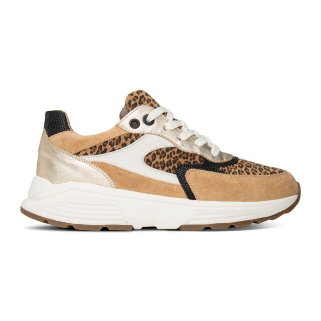 Xsensible 33002.4-Ponte Vecchio Veterschoenen Bruin 33002.4-Ponte Vecchio large