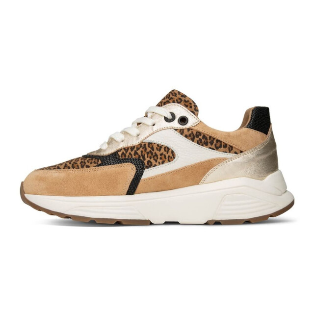 Xsensible 33002.4-Ponte Vecchio Veterschoenen Bruin 33002.4-Ponte Vecchio large