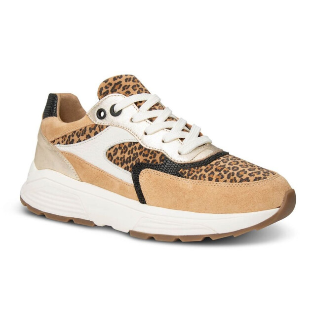 Xsensible 33002.4-Ponte Vecchio Veterschoenen Bruin 33002.4-Ponte Vecchio large