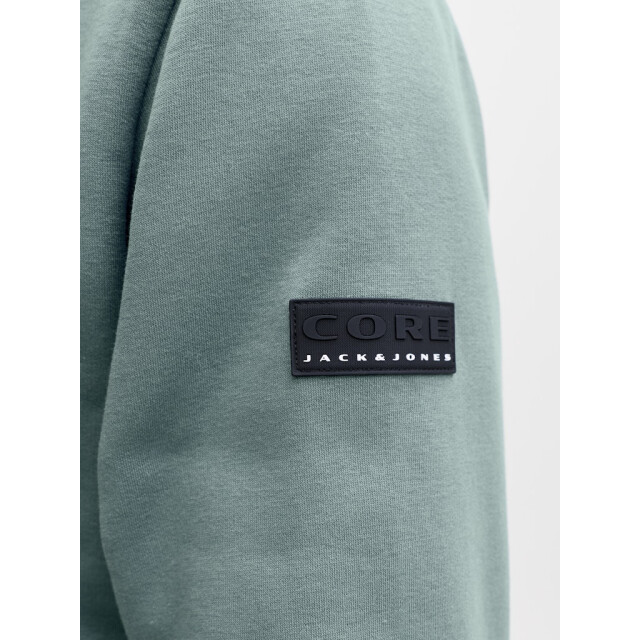 Jack & Jones Jcofusion sweat badge hood oud 5209.23.0002 large