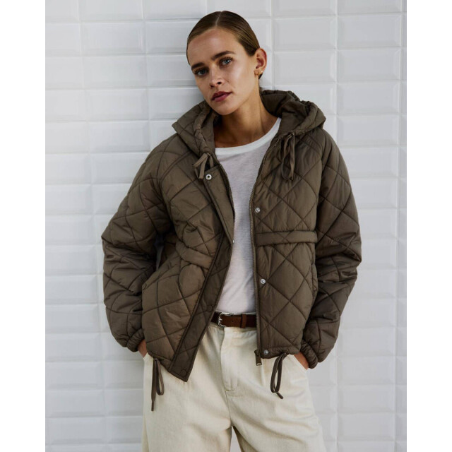 WithBlack Jack 00000066 wblastri WithBlack Jack 00000066 WBLASTRI large