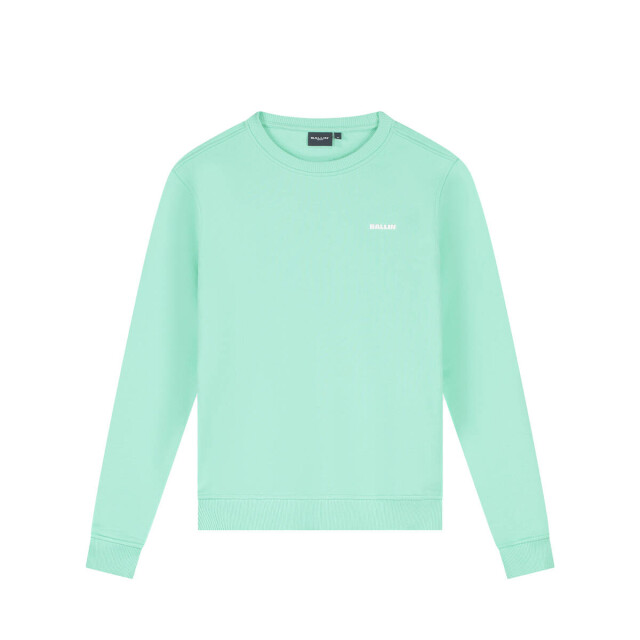 Ballin Amsterdam Sweat 26017303 faded Ballin Sweat 26017303 FADED large