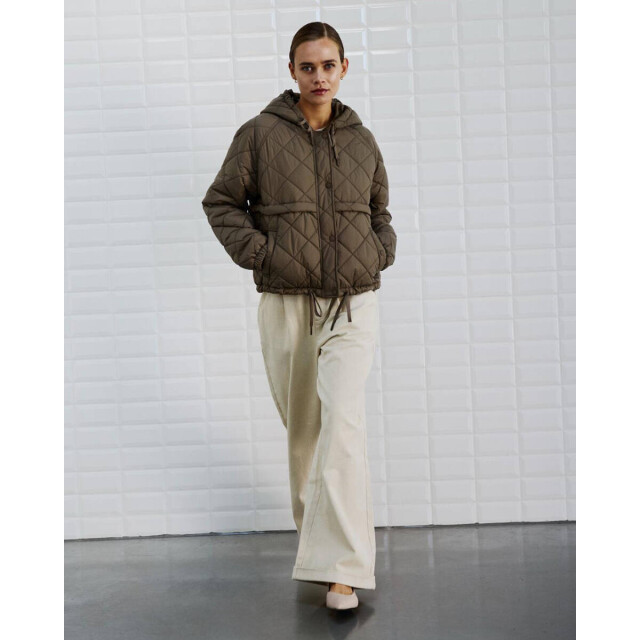 WithBlack Jack 00000066 wblastri WithBlack Jack 00000066 WBLASTRI large