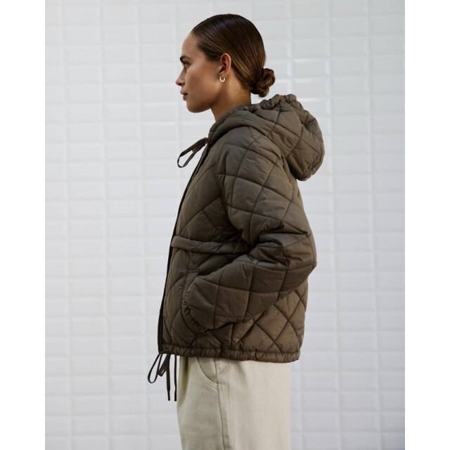 WithBlack Jack 00000066 wblastri WithBlack Jack 00000066 WBLASTRI large