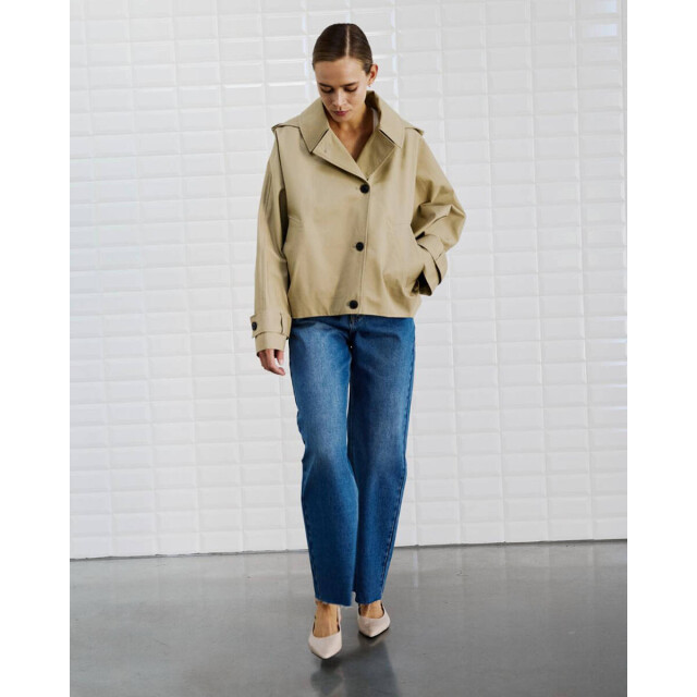 WithBlack Jack 00001393 wblalaia WithBlack Jack 00001393 WBLALAIA large