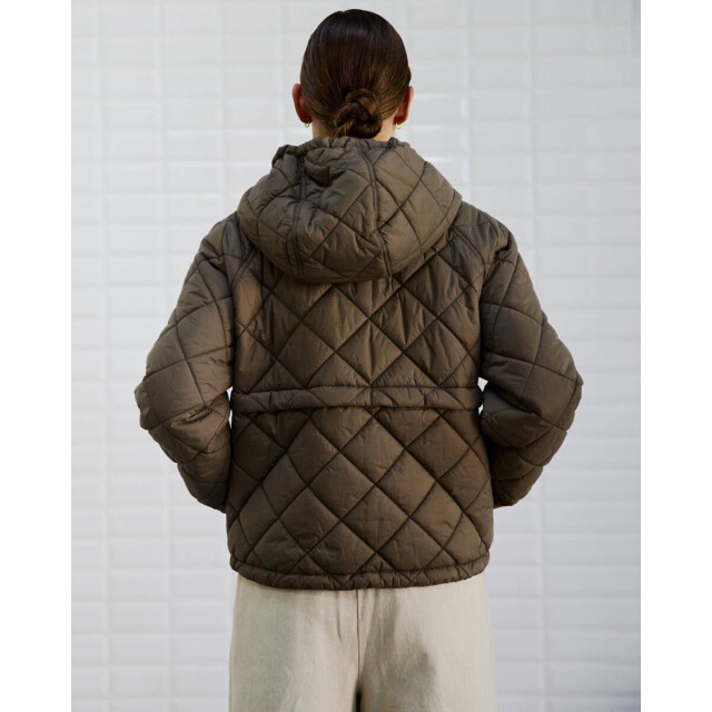 WithBlack Jack 00000066 wblastri WithBlack Jack 00000066 WBLASTRI large