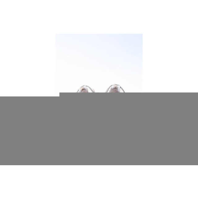 Floris van Bommel -10157 Sneakers Brons -10157 large