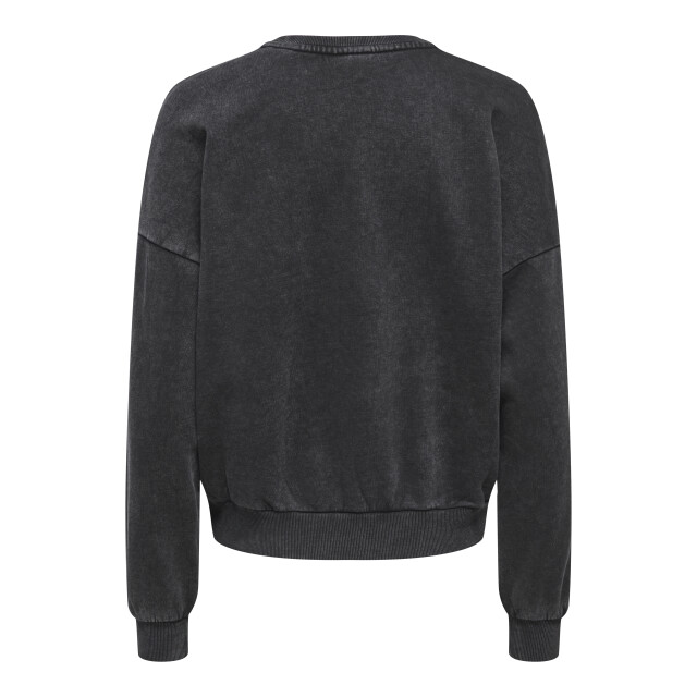 Only Onllauren life l/s animal o-neck cc 15339833 large