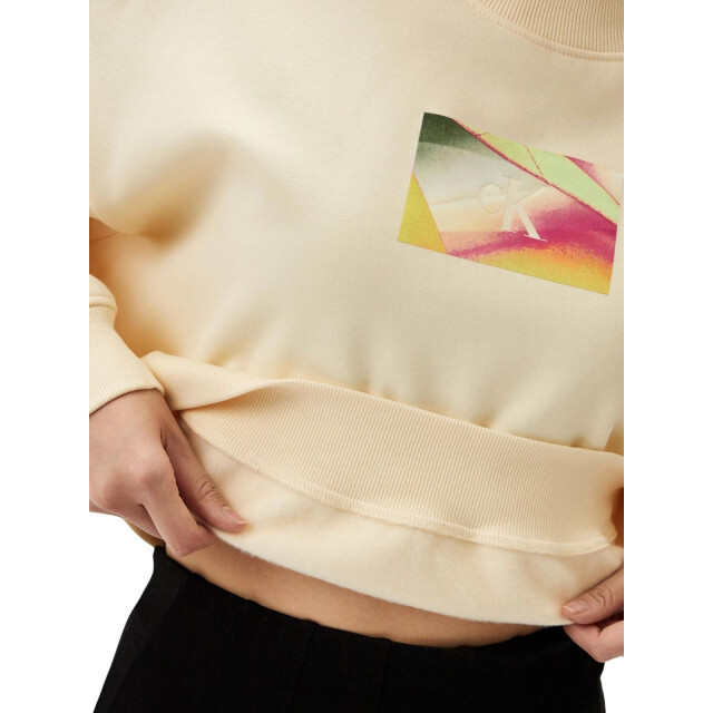 Calvin Klein Dames logo oversized sweatshirt UTNA1281_vanilla large