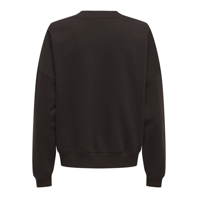 Jacqueline de Yong mesa l/s o-neck emb sweat jrs no 15370526 ganache paris 06721.840.0012 large