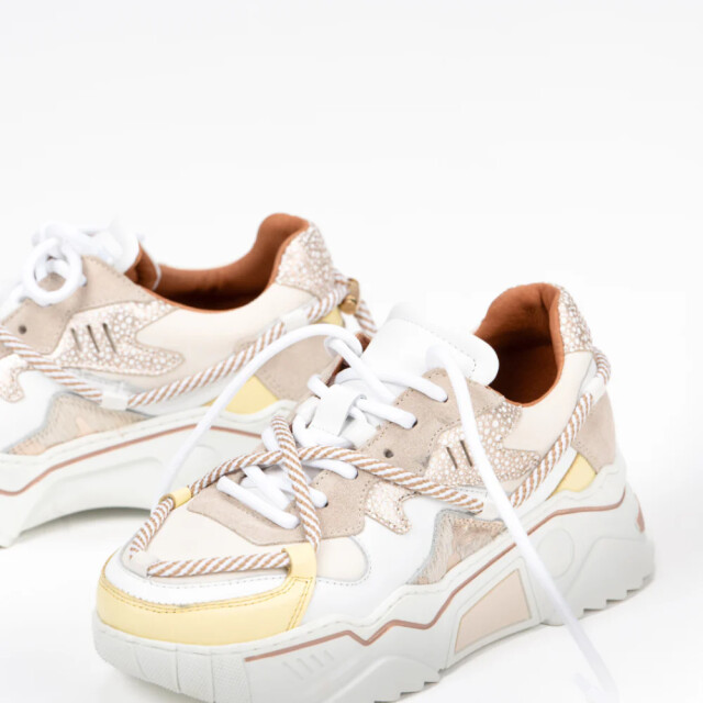 DWRS Label Jupiter J5554C-99 large