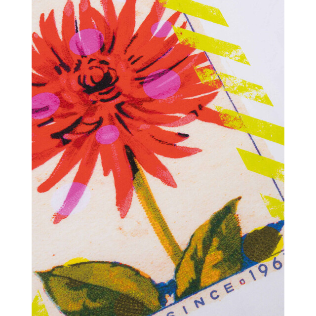 Oilily Sweat s26wje4010 tarun Oilily Sweat S26WJE4010 TARUN large