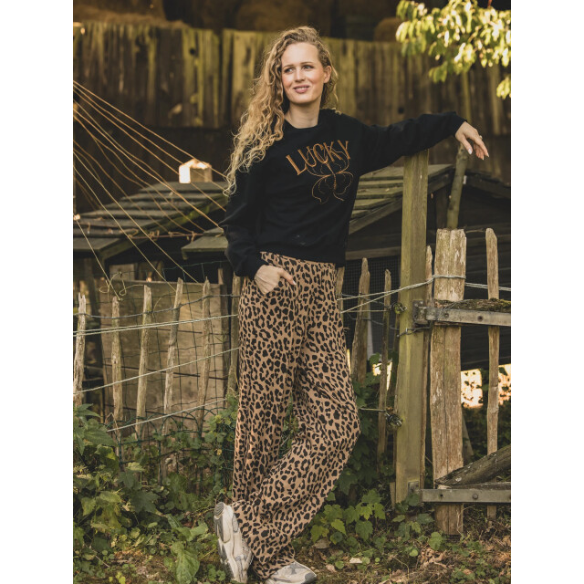 Looxs Revolution Lxs sweat broek leopard voor dames in de kleur 2532-9634-924 large