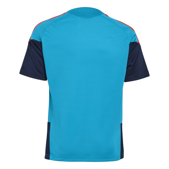 Adidas rfef tr jsyy replica voetbal trainingshirt korte mouw jongens - 073696_305-152 large