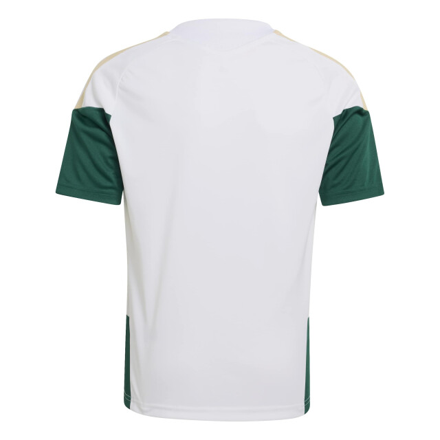 Adidas figc tr jsyy replica voetbal trainingshirt korte mouw jongens - 073693_100-176 large