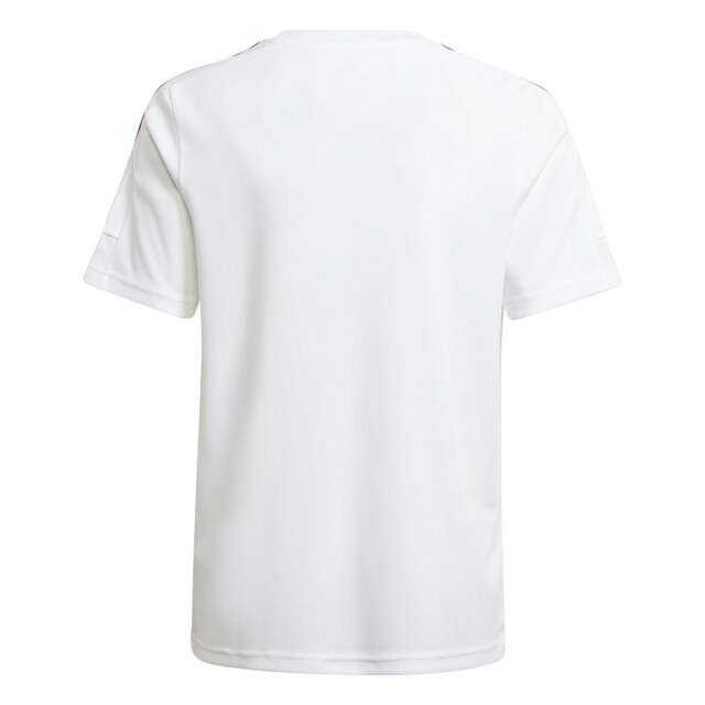 Adidas Squadra 21 jersey voor kinderen UTPP824_white large