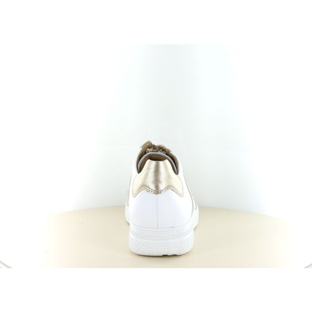 Hartjes 162.2702 wijdte h 237.10.444 large