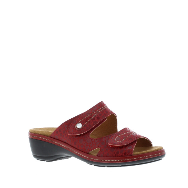 Cypres Hak 105291 105291 large