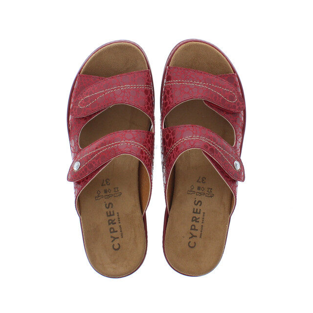 Cypres Hak 105291 105291 large