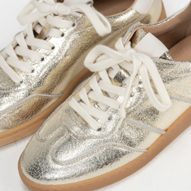 DWRS Label Poona crackled B11456-51 large