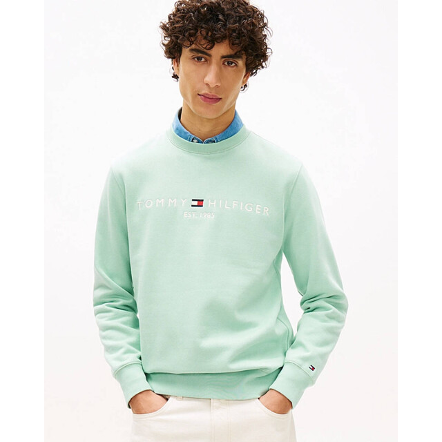 Tommy Hilfiger Sweatshirt mw0mw11596 Tommy Hilfiger Sweatshirt MW0MW11596 large