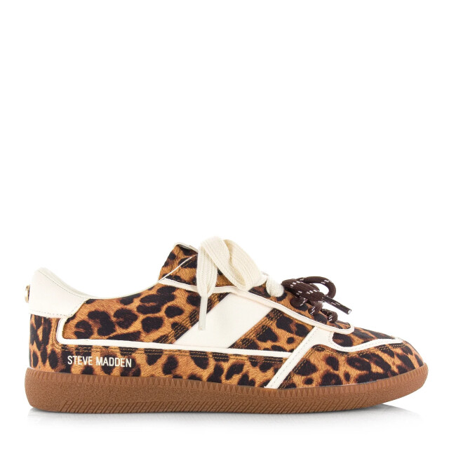 Steve Madden Augustine leopard lage sneakers dames 11005216 02002 969 large