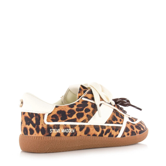Steve Madden Augustine leopard lage sneakers dames 11005216 02002 969 large