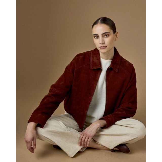 JcSophie Pullover korte mouw l3325 lorry JcSophie Pullover korte mouw L3325 LORRY large