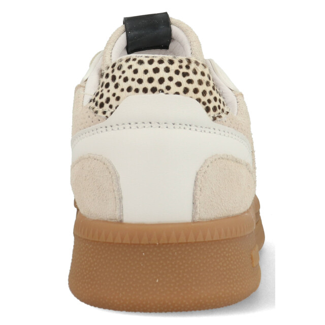 Maruti Yale 66.1844.01-d69 66.1844.01 large