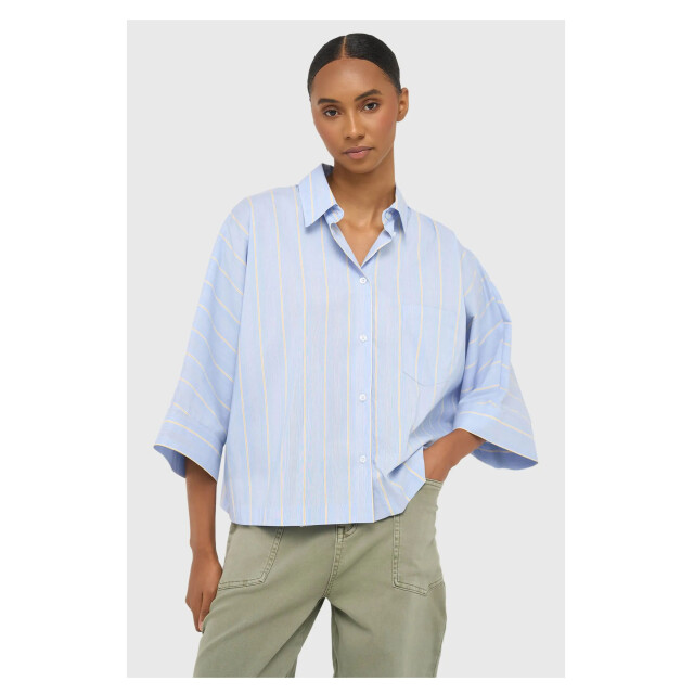 Janice Carl blouses carl Carl large