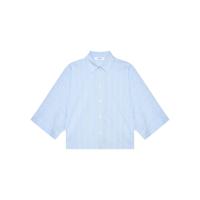 Janice Carl blouses carl Carl large