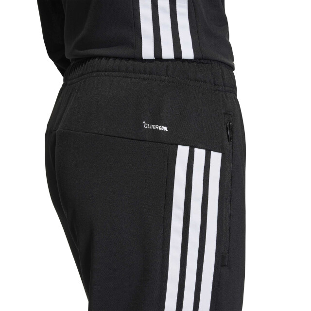 Adidas we allset 3s pt trainingbroek heren - 073765_991-L large
