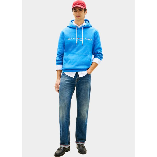 Tommy Hilfiger Hoodie tommy logo hoody mw0mw11599/c4u 204770 large