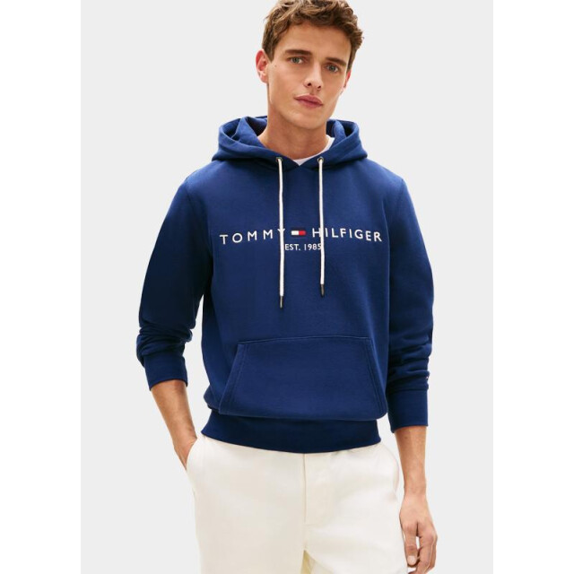 Tommy Hilfiger Hoodie tommy logo hoody mw0mw11599/dcc 204771 large