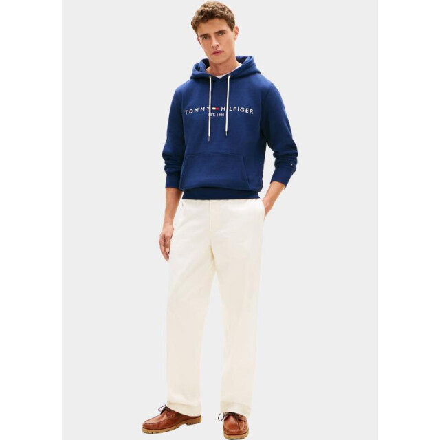 Tommy Hilfiger Hoodie tommy logo hoody mw0mw11599/dcc 204771 large