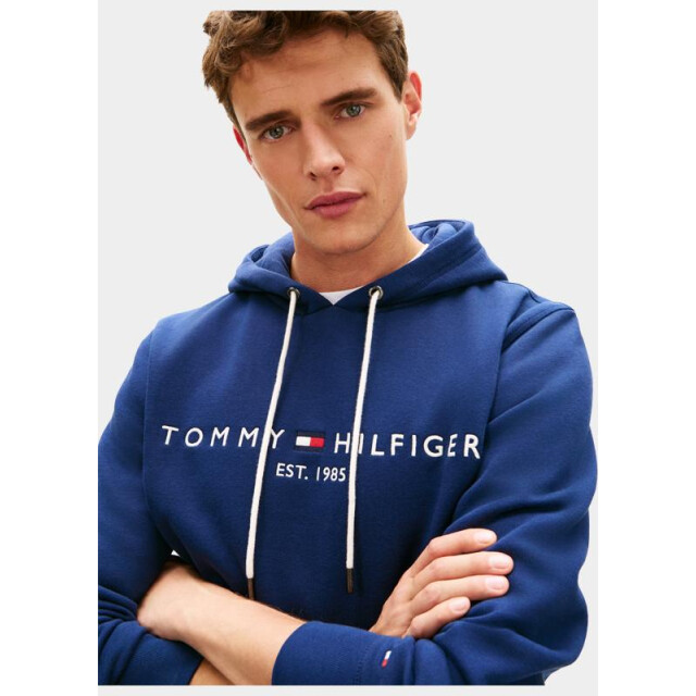 Tommy Hilfiger Hoodie tommy logo hoody mw0mw11599/dcc 204771 large