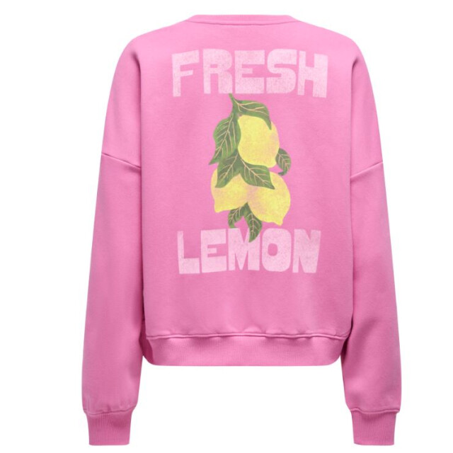 Only Onlliny l/s o-neck print cs swt 15368263 large