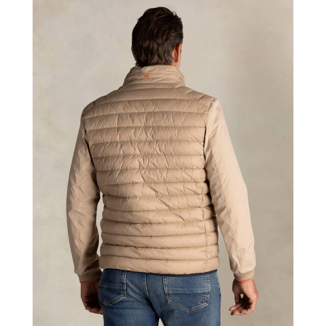 New Zealand Auckland Jack 26an800 New Zealand Auckland Jack 26AN800 large