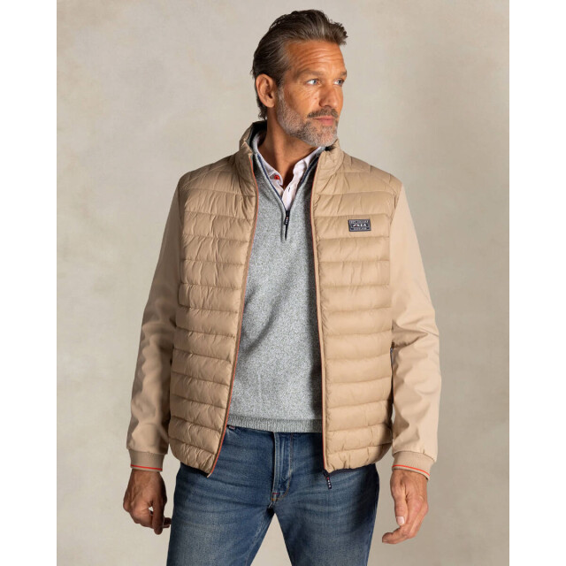 New Zealand Auckland Jack 26an800 New Zealand Auckland Jack 26AN800 large