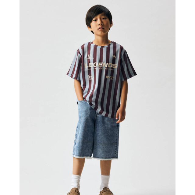 Name It T-shirt 13254739 fidur Name It T-shirt 13254739 FIDUR large