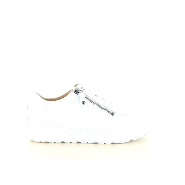 Hartjes 162.1409 wijdte h 237.10.290 large