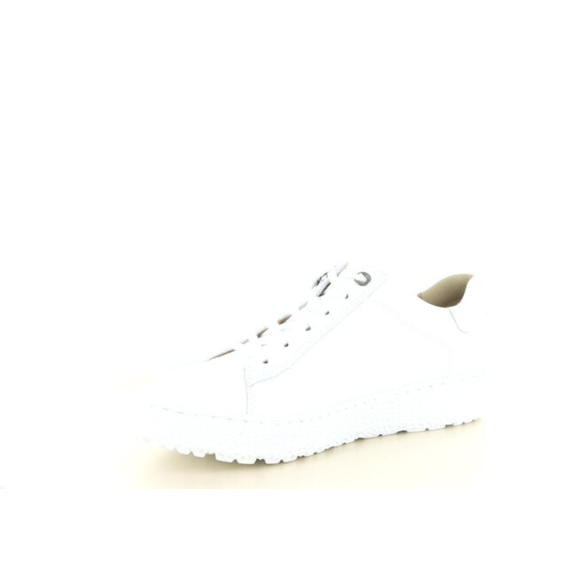 Hartjes 162.1409 wijdte h 237.10.290 large