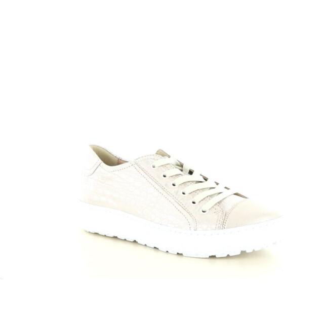 Hartjes 162.1430 wijdte h 237.98.445 large