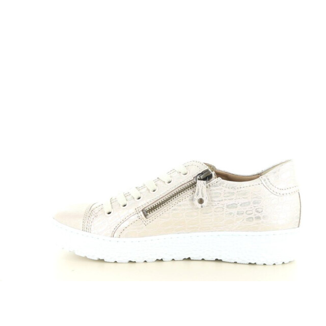 Hartjes 162.1430 wijdte h 237.98.445 large