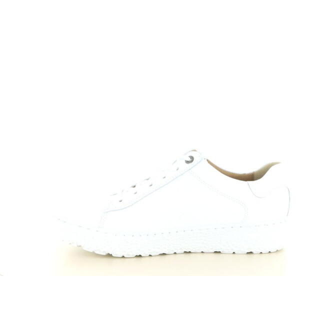 Hartjes 162.1409 wijdte h 237.10.290 large