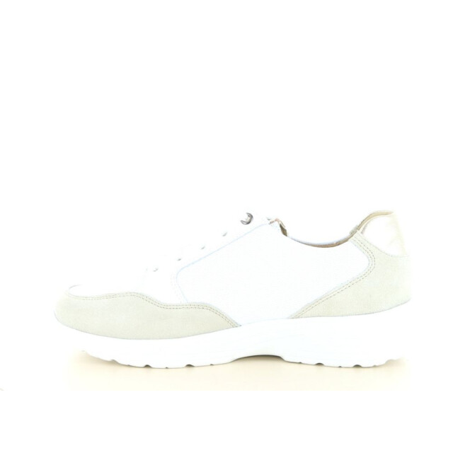 Hartjes 162.2603 wijdte k 237.10.443 large