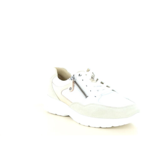 Hartjes 162.2603 wijdte k 237.10.443 large