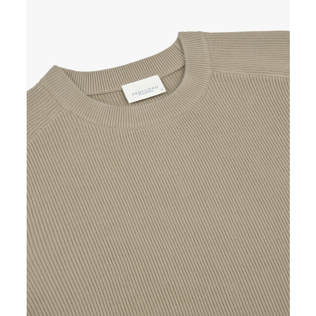 Profuomo pullover crew neck ppxj10013d f 05711.829.0140 large