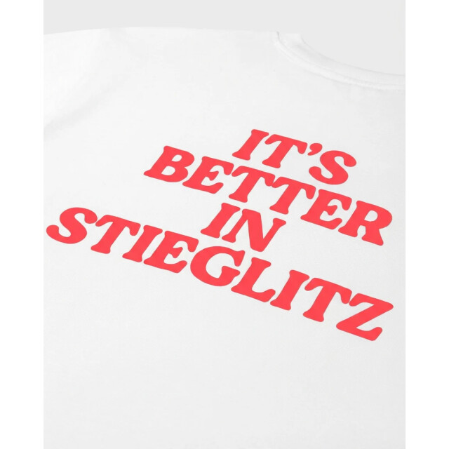 Stieglitz branca regular t-shirt s2602057-005 white 06011.100.0307 large